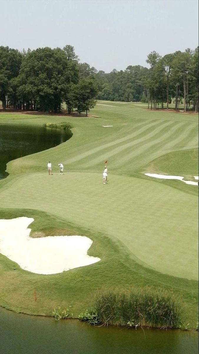 Committee Elections Open