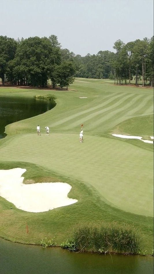 Committee Elections Open